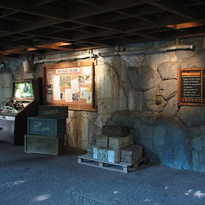 Myombe Reserve - Research Outpost