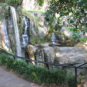 Myombe Reserve - Gorilla Exhibit