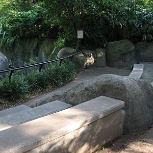 Myombe Reserve - Gorilla Exhibit