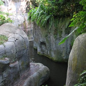 Myombe Reserve - Gorilla Exhibit
