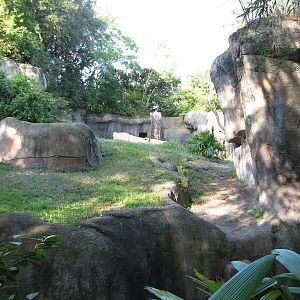 Myombe Reserve - Gorilla Exhibit
