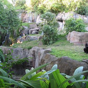 Myombe Reserve - Gorilla Exhibit
