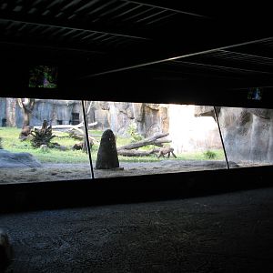 Myombe Reserve - Gorilla Exhibit