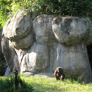 Myombe Reserve - Gorilla Exhibit