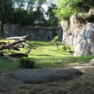 Myombe Reserve - Gorilla Exhibit