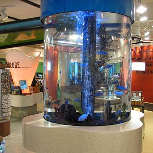 Bird Gardens - Xcursions Shop - Fish Exhibit