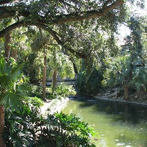 Bird Gardens - Caribbean Flamingo and Koi Exhibit
