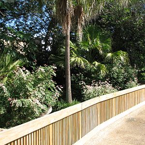 Bird Gardens - Bar-headed Goose Exhibit