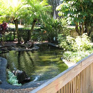 Bird Gardens - Waterfowl Exhibit