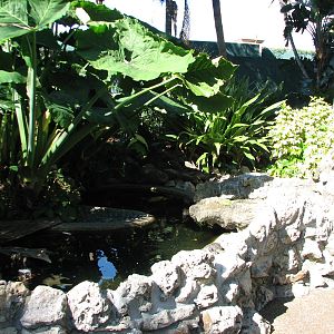 Bird Gardens - Turtle Exhibit