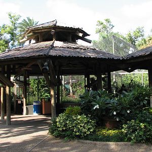 Walkabout Way - Kookaburra's Nest Aviary - Exterior