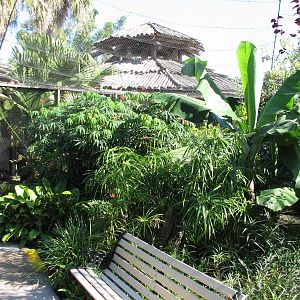 Walkabout Way - Kookaburra's Nest Aviary - Interior