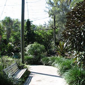Walkabout Way - Kookaburra's Nest Aviary - Interior
