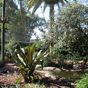 Walkabout Way - Kookaburra's Nest Aviary - Interior