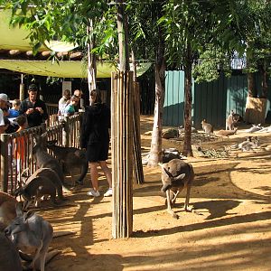 Walkabout Way - Kangaloom