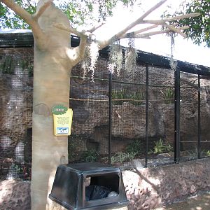 Living Dragons - Turaco Exhibit