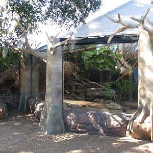 Living Dragons - Iguana and Tortoise Exhibit