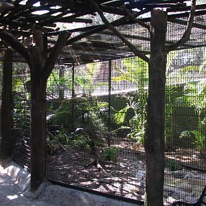 Lory Landing - Hornbill Exhibit