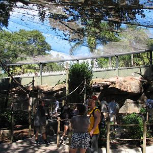Lory Landing - Interior