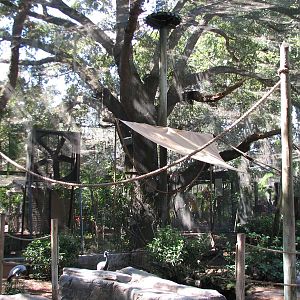 Lory Landing - Interior