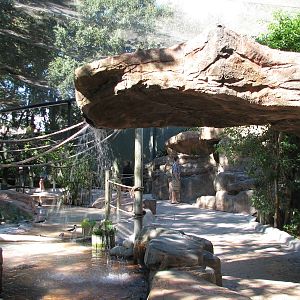 Lory Landing - Interior