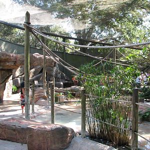 Lory Landing - Interior