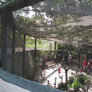 Lory Landing - Back Exterior