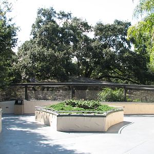 Lory Landing - Back Exterior