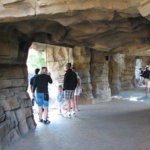 Jungala - Tiger Trail - Tunnel