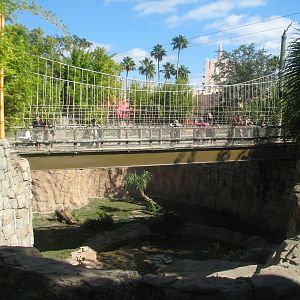 Jungala - Bengal Tiger Exhibit 1 - Visitor Bridge