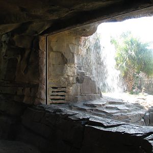 Jungala - Bengal Tiger Exhibit 2