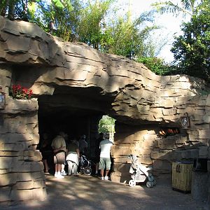 Jungala - Tiger Trail