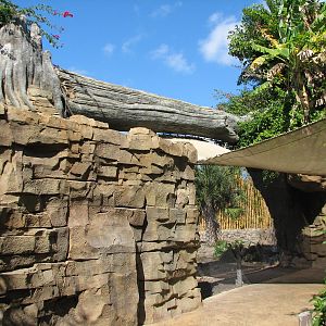 Jungala - Bengal Tiger Exhibit 2