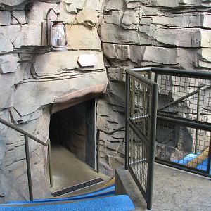 Jungala - Bengal Tiger Exhibit 1 - Cave Entrance to Popup Window