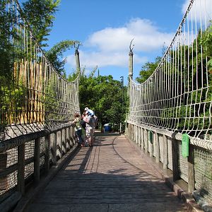 Jungala - Bengal Tiger Exhibit 1 - Visitor Bridge