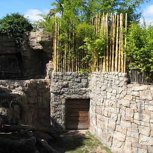 Jungala - Bengal Tiger Exhibit 1