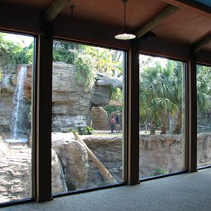 Jungala - Bengal Tiger Exhibit 2 - Tiger Lodge Interior