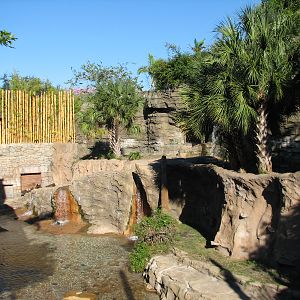 Jungala - Bengal Tiger Exhibit 2