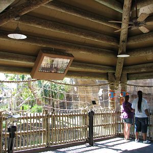 Jungala - Orangutan Exhibit - Viewing Shelter