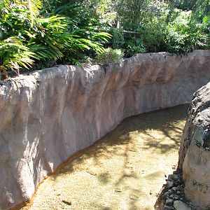 Jungala - Orangutan Exhibit - Side Moat