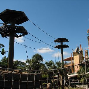 Jungala - Orangutan Exhibit - Orangutan Vine