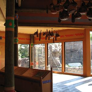 Jungala - Orangutan Exhibit - Orangutan Outpost Interior