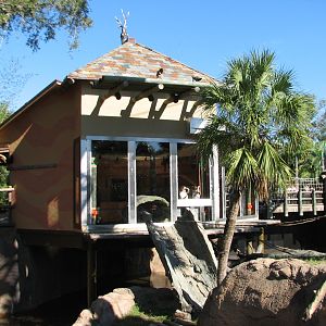 Jungala - Orangutan Exhibit - Orangutan Outpost Exterior