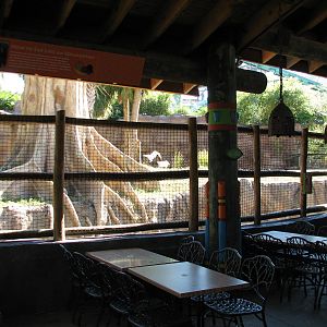 Jungala - Orangutan Exhibit - Orang Cafe Viewing Area