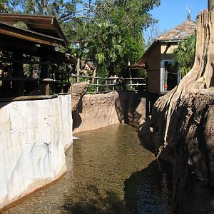 Jungala - Orangutan Exhibit - Side Moat