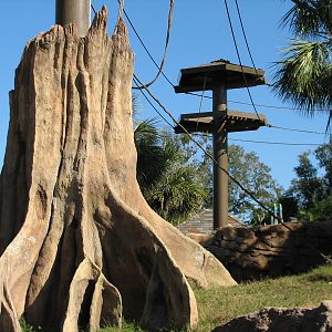 Jungala - Orangutan Exhibit