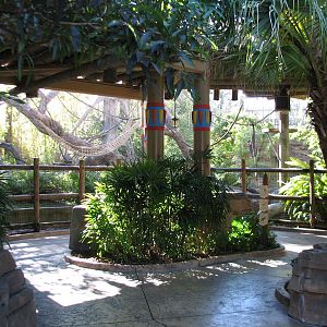 Jungala - White-cheeked Gibbon Exhibit - Lower Viewing Area