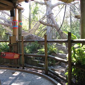 Jungala - White-cheeked Gibbon Exhibit - Lower Viewing Area
