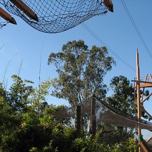 Jungala - Jungle Flyers Ride over White-cheeked Gibbon Exhibit