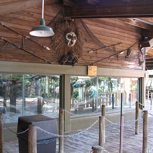 Congo - Squirrel Monkey Exhibit
